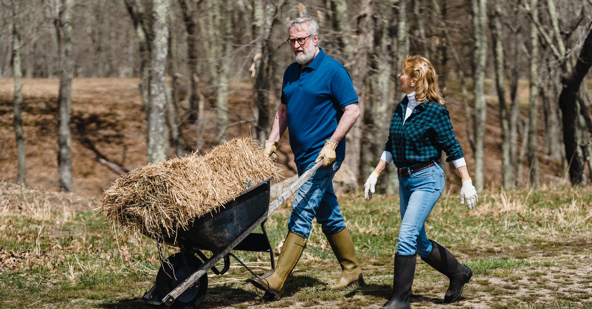 What seasonings give ranch dressing its distinctive flavor? - Full body of concentrated mature man and woman carrying cart with dry hay while walking together along rural path in countryside on sunny day