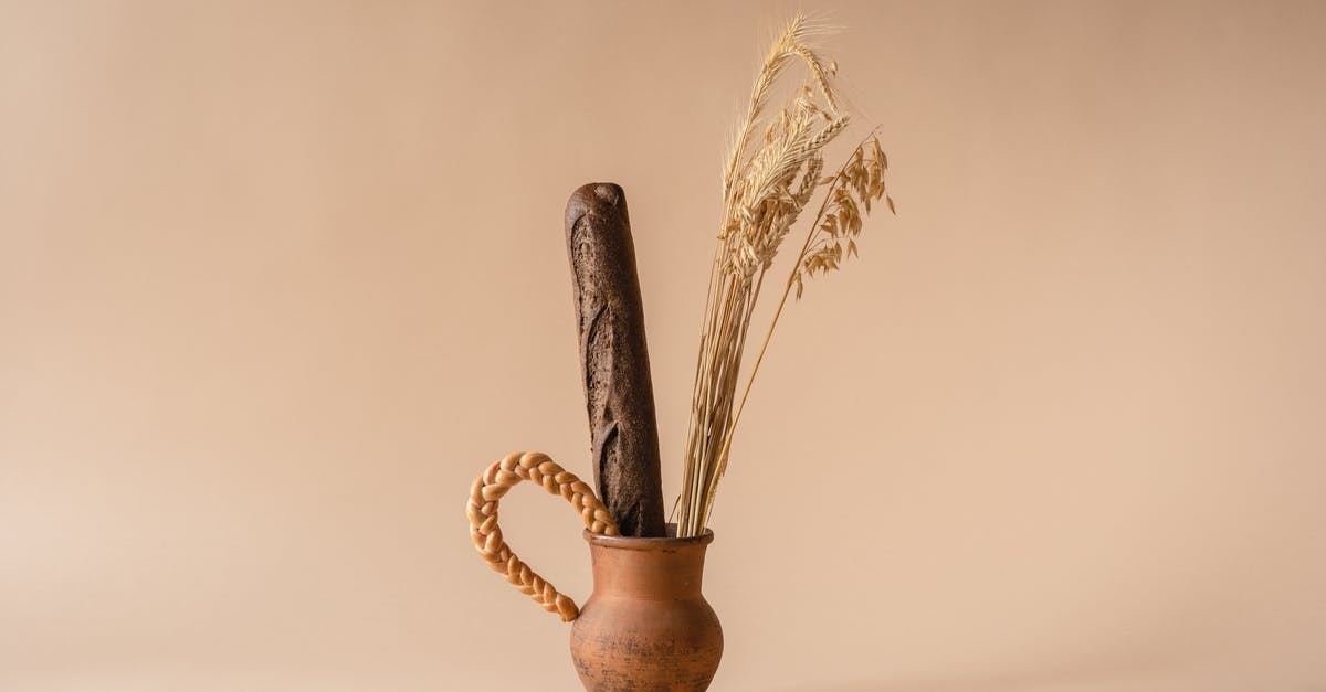 What should I do if I forgot to dry fries before baking? - Dried Crop and a Baguette on a Clay Vase