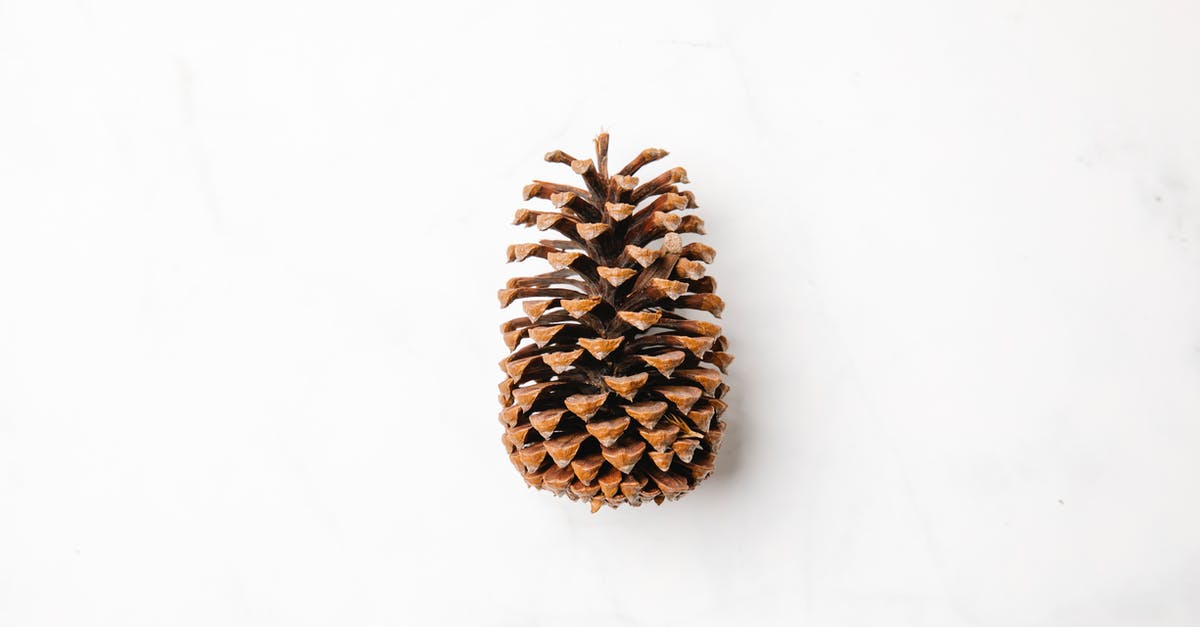 What size are small, medium and large tomatoes? - Overhead view of large sized coniferous tree cone with spiky edges on white surface