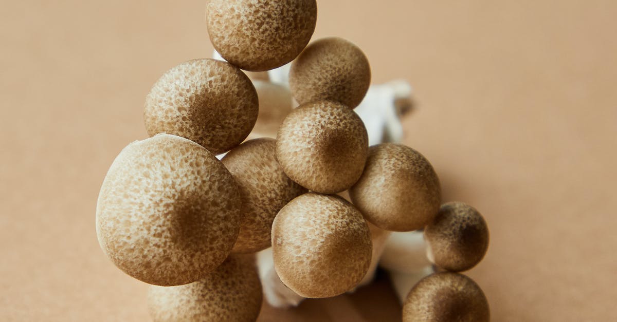 What species is Chinese dried mushrooms (冬菇)? - High angle of cluster of brown beech type of gourmet oyster mushroom growing in Asia placed on beige background