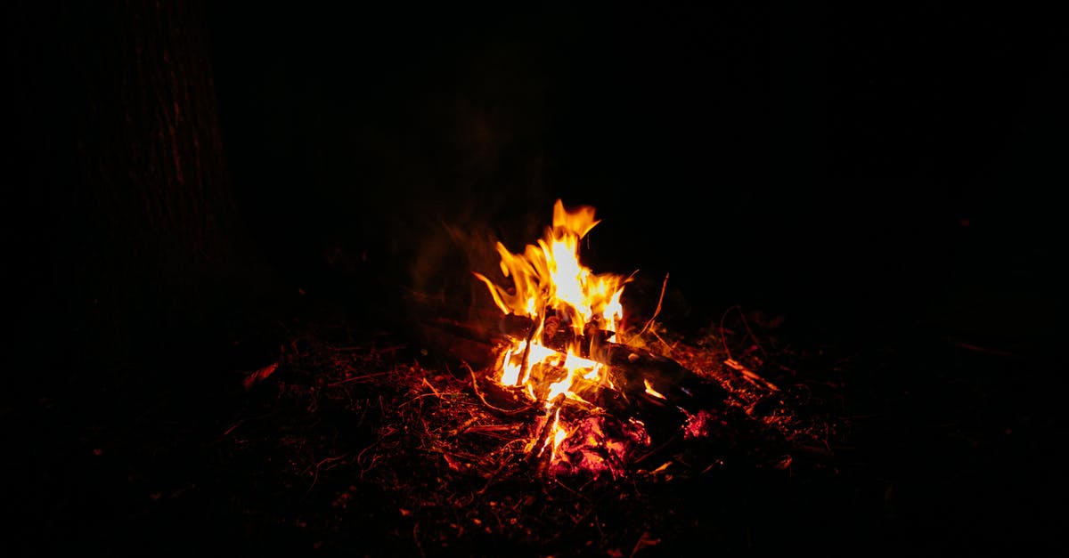 What temperature is 'High' in a 950 watt microwave? - High angle of burning bonfire with orange flame tongues on ground in woods at night