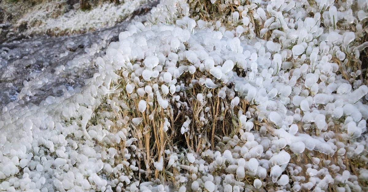 What temperature of water will kill yeast? - From above of grass area covered with frozen sleet in daylight in winter