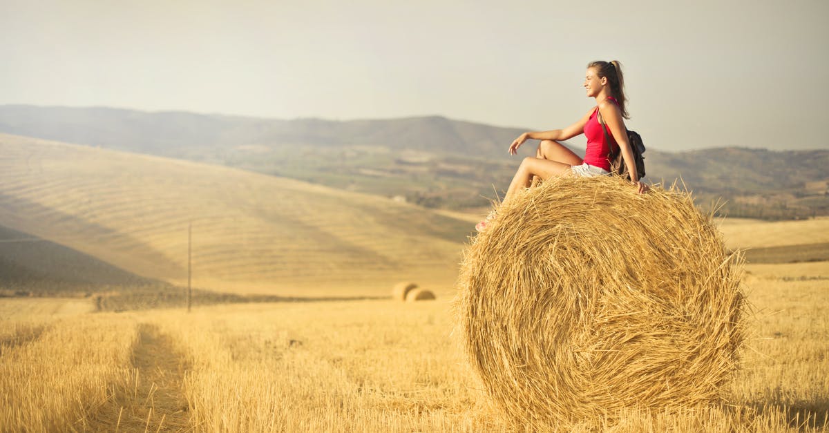 What to do with too-dry sun dried tomatoes? - Woman in Red Tank Top Sitting Hay Roll