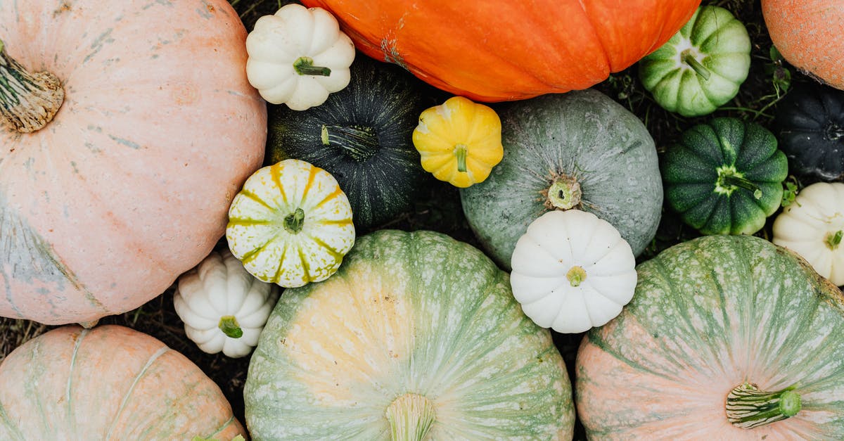 What variety of squash produces "flor de calabaza"? - Picture of Pumpkins