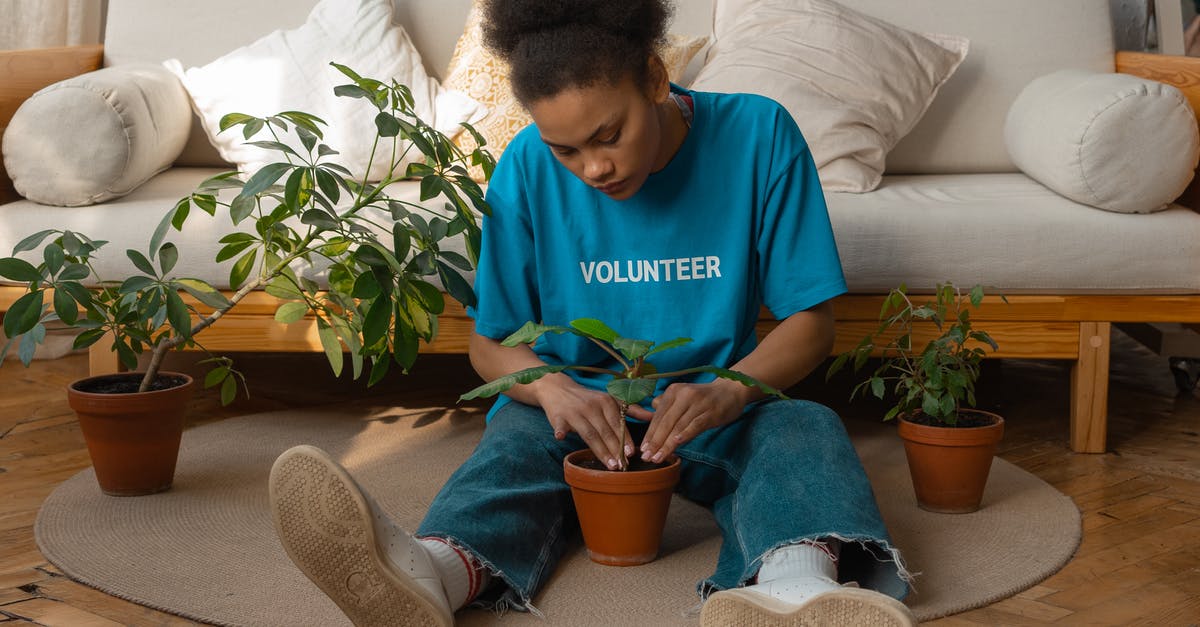 What went wrong with these pots de creme au chocolat? - Woman in Blue Crew Neck T-shirt and Blue Denim Jeans Sitting on Brown Sofa