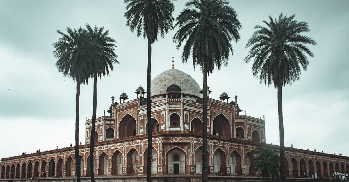 What’s the definition of “cultured butter”? - Low angle of beautiful well maintained garden with palms and ancient building of Humayun s Tomb located in Delhi