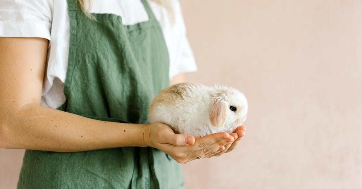 What’s the minimum sugar to egg white ratio in Swiss buttercream? - Free stock photo of adult, apron, at home