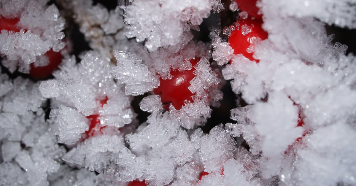 When should one ice christmas fruit cakes - Frosted Fruits