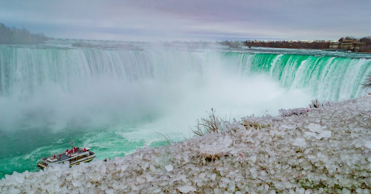 When to carve a goose - hot or cold - Niagara Falls
