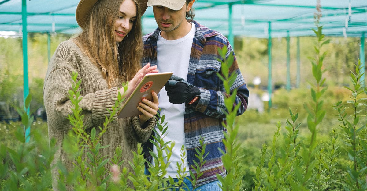 Where can I find yak butter online or in NYC? - Focused couple searching information in farm