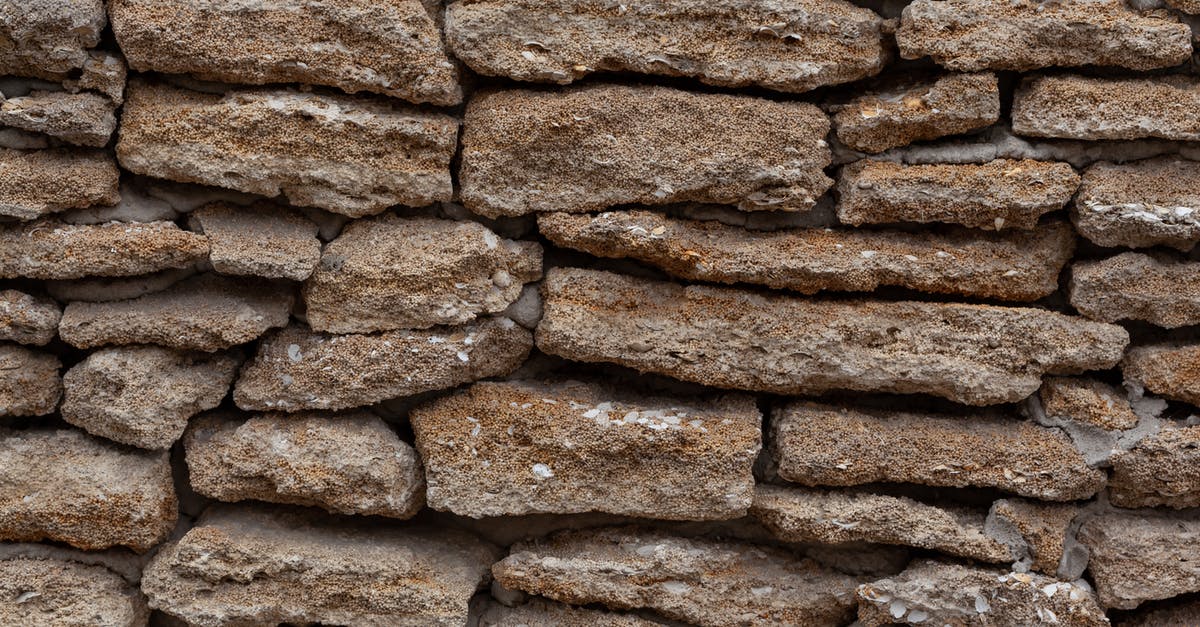 Where do all the tough old birds go? - Backdrop of dry stone wall with uneven surface