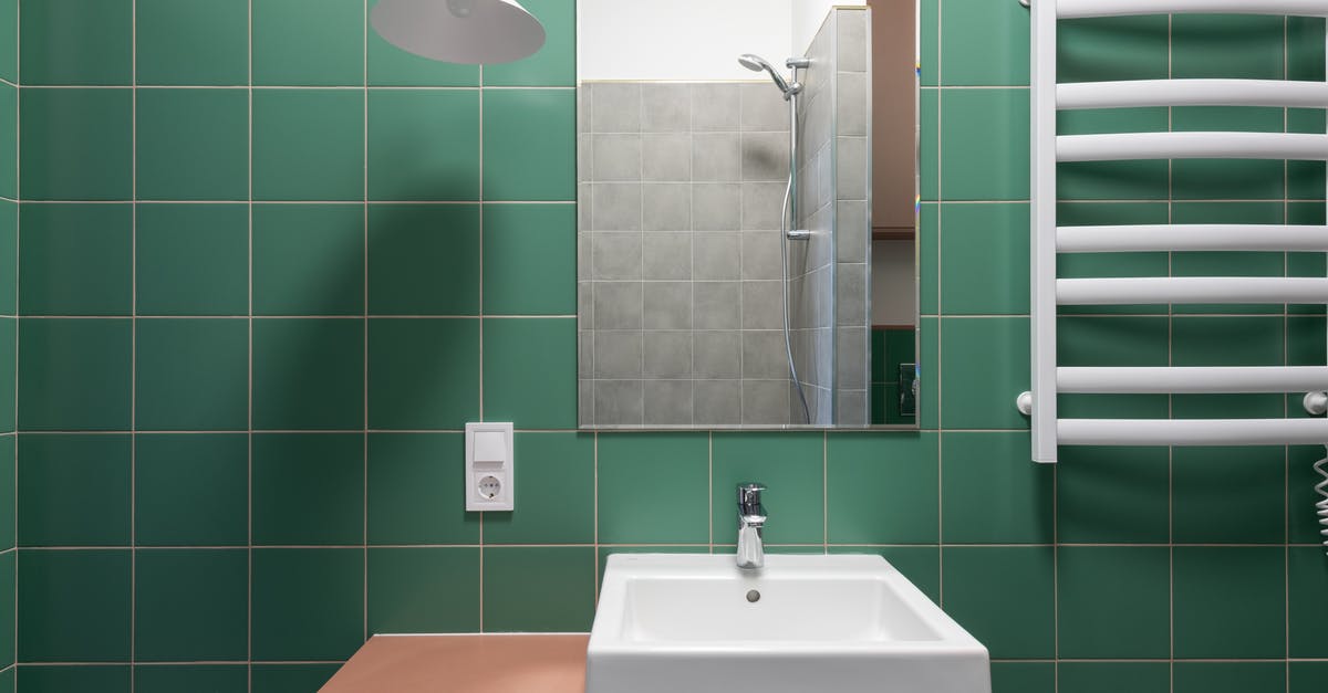 Where does the green part of the scallion start and the white part end? - Interior of bathroom with washbasin and mirror