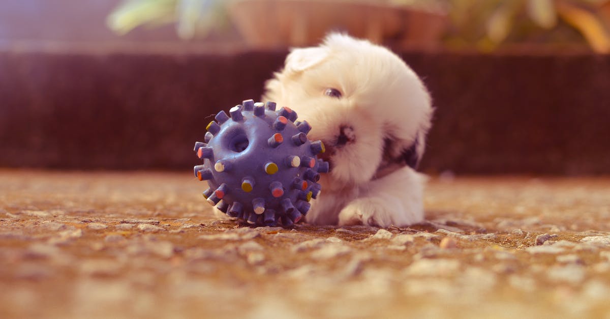 Where to get or how to make hollow sugar balls? - Puppy Playing With Spiky Ball Toy Selective Focus Photography