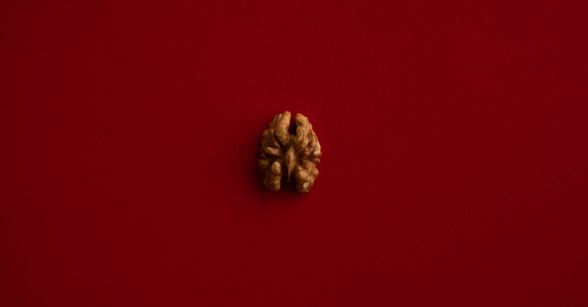 Which is the most caloric, edible, single ingredient by weight? - Half of walnut kernel in center of red background