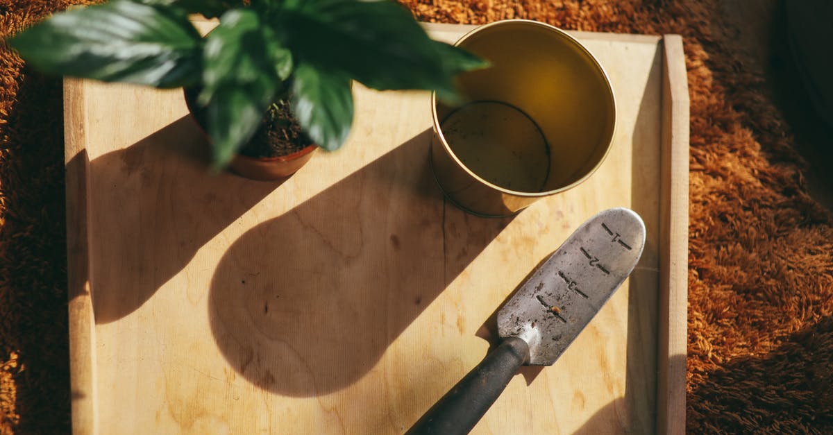 Which knife is best for somone just learning to cook? - Silver and Black Steel Measuring Cup Beside Green Plant