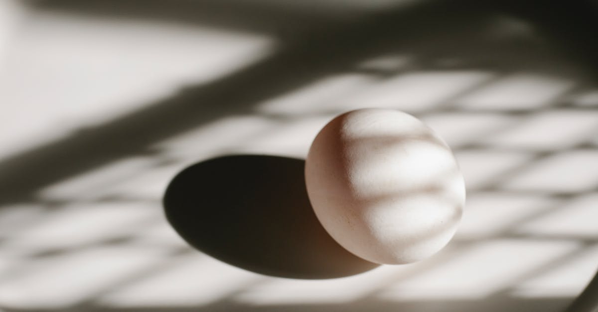 Whipped egg white snack texture and preservation - Composition of white natural chicken egg placed on light round plate in sun shadows in kitchen