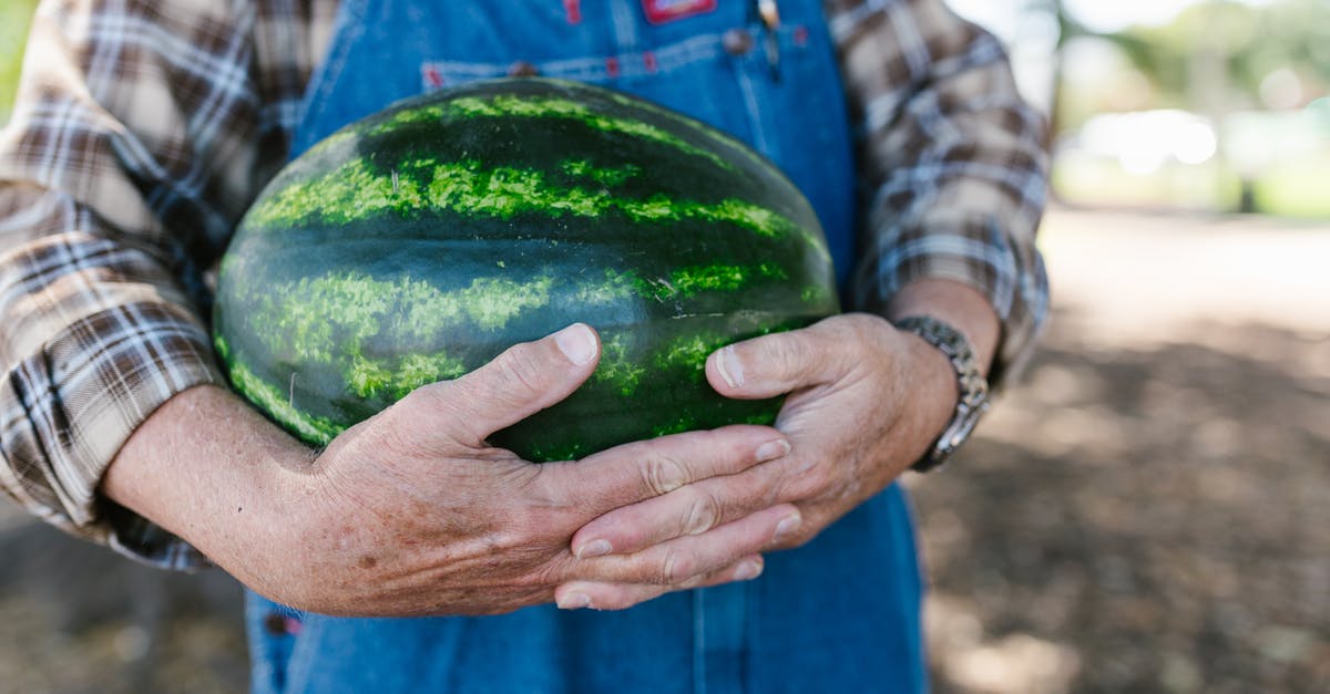 Who knows what this fruit is called? - A Person Holding a Watermelon