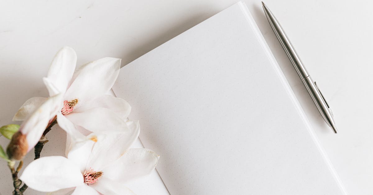 Why am i unable to season my pure iron wok? - Top view composition of opened notebook with blank white sheets and stylish silver pen decorated with lush blooming Magnolia twig placed on white background