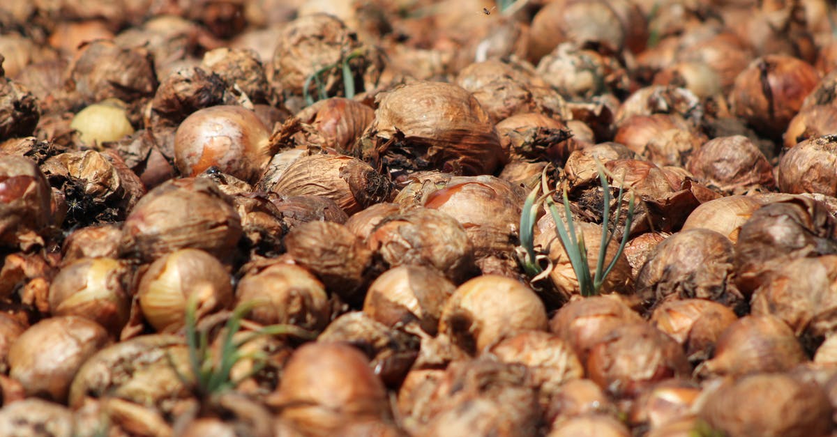 Why are my caramelized onions dried out? - Onions in Close-up Photography