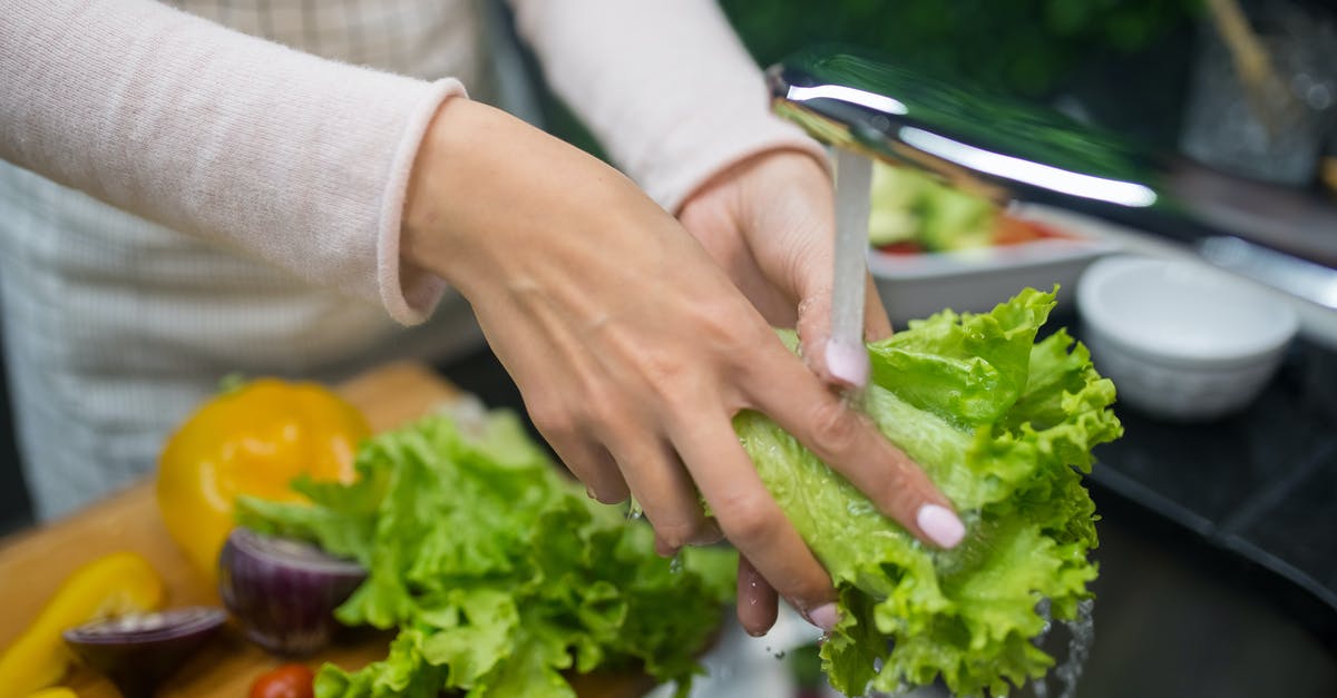 Why are my Rucola and Lettuce washed in ice-water? - A Person Washing a Lettuce