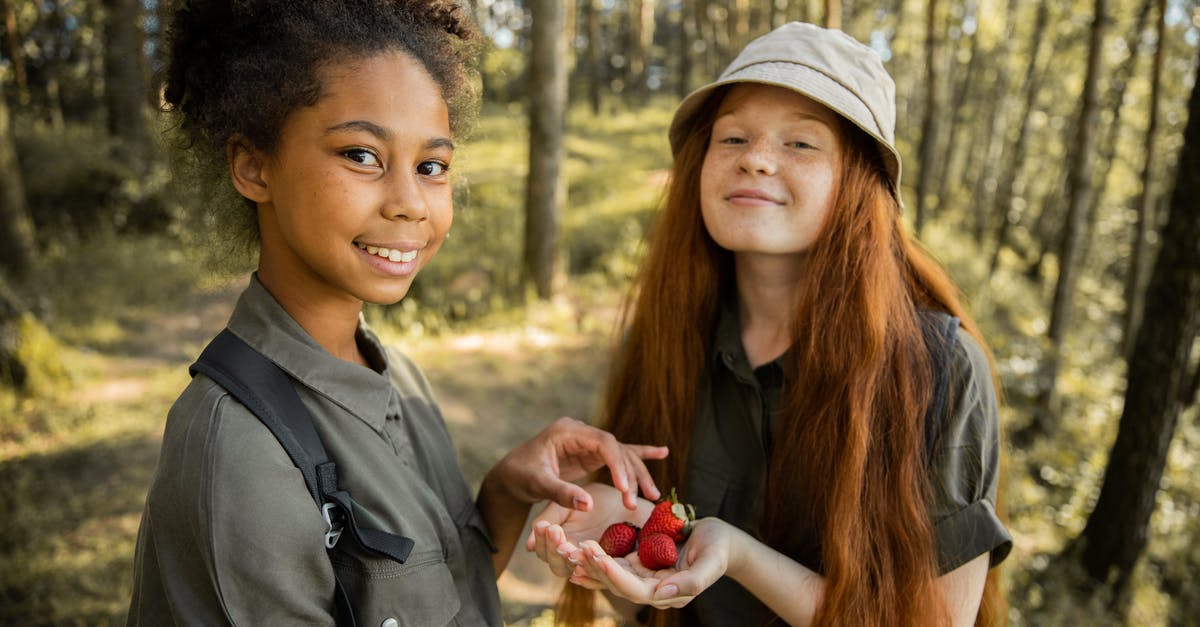 Why are my strawberries keeping so long? - Scout Girls with Strawberries in Forest