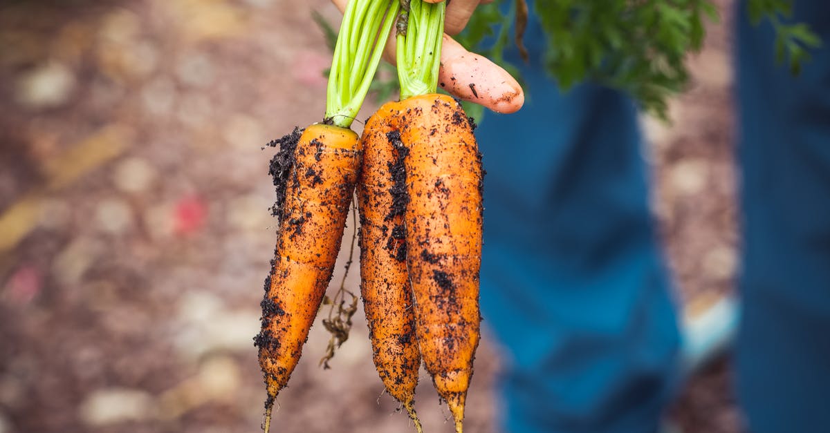 Why are non-orange coloured carrots so uncommon? - Person Holding Brown and Green Vegetable