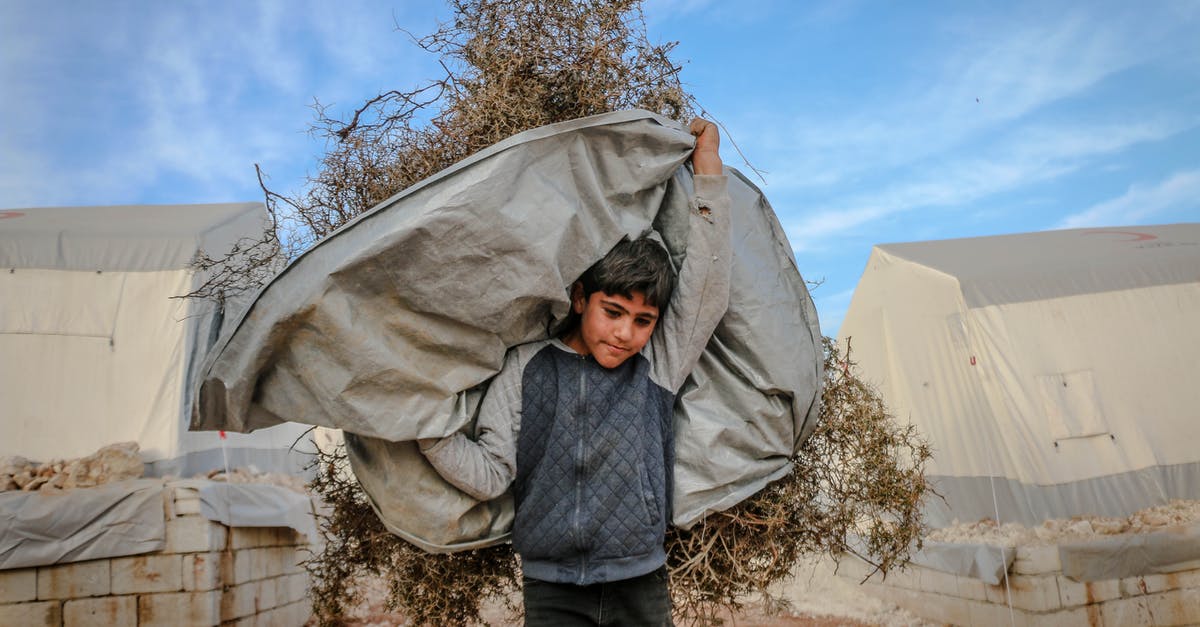 Why cheesecake needs hard base? - Strong ethnic boy carrying dry plants