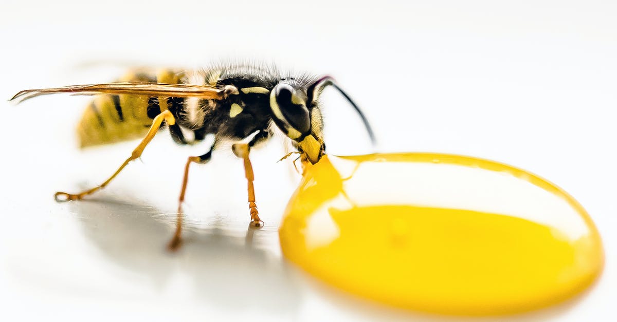 Why did Honey Kiss Melon from the U.S. sting my mouth? - Macro Photography of Bee Sipping on Liquid