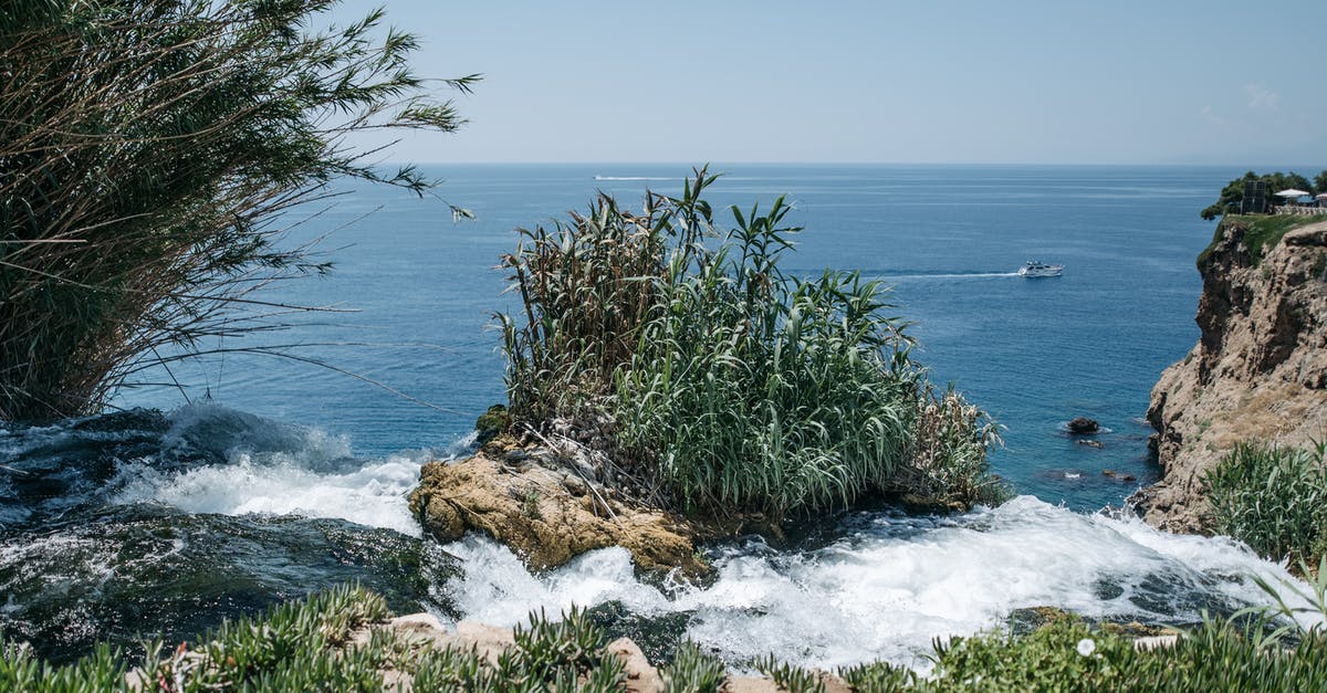 Why did my Chickpea water congeal? - Green Trees Near Body of Water