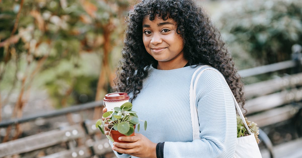 Why did my green tea muffins turn black? - Positive young black woman standing with shopping bag with greenery and takeaway drink with potted green plant in park near bench and shrubs in daytime while looking at camera