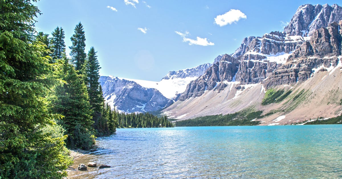 Why do frozen greens get fibrous and tough in the microwave? - Green Trees Near Body of Water