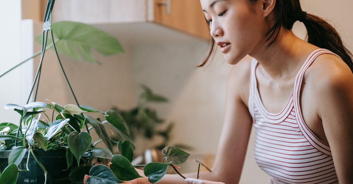 Why do garlic pots have holes? - Woman in White and Blue Stripe Tank Top Holding Green Plant