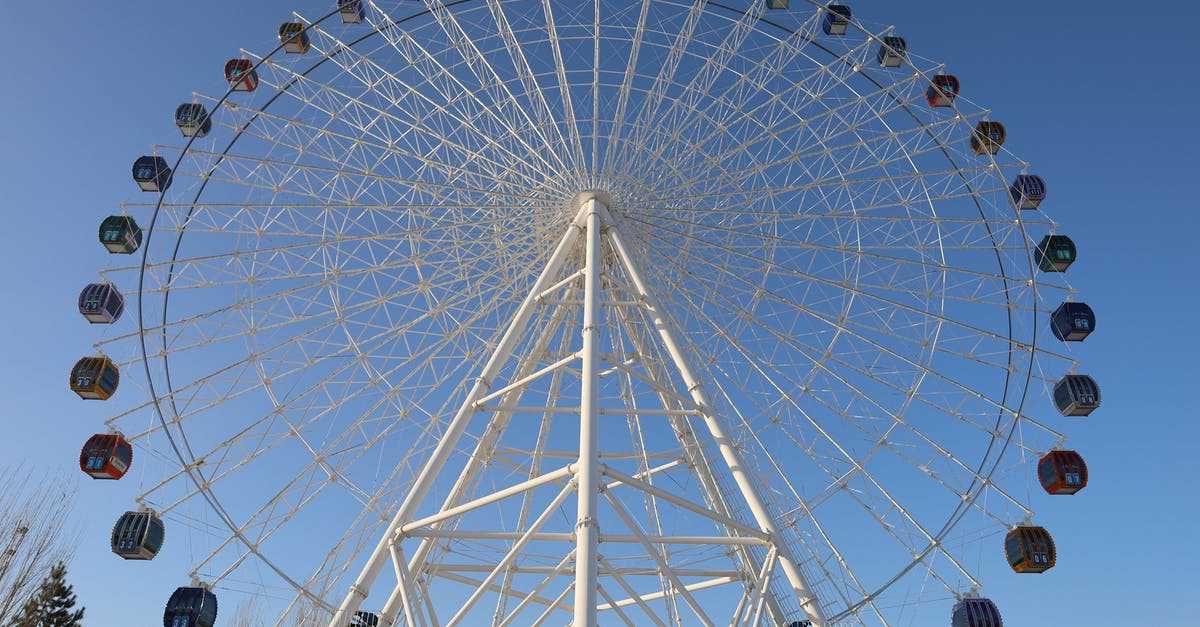 Why do my shallots keep turning blue? - White Ferris Wheel Under Blue Sky