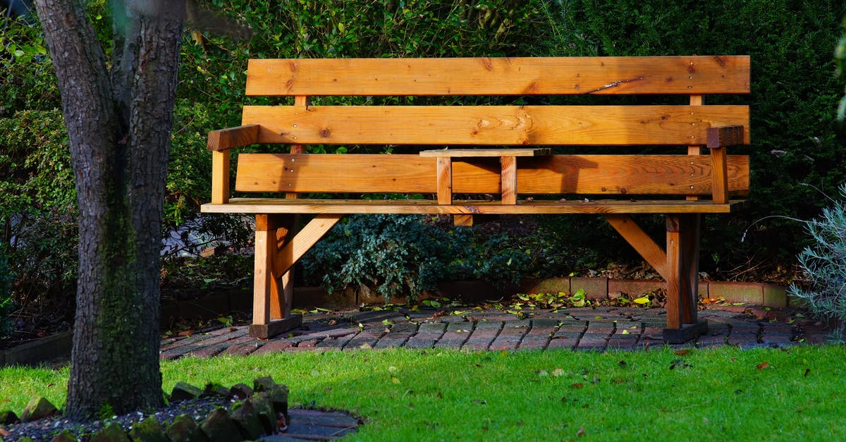 Why do my snickerdoodles always come out flat? - Wooden Bench in Garden