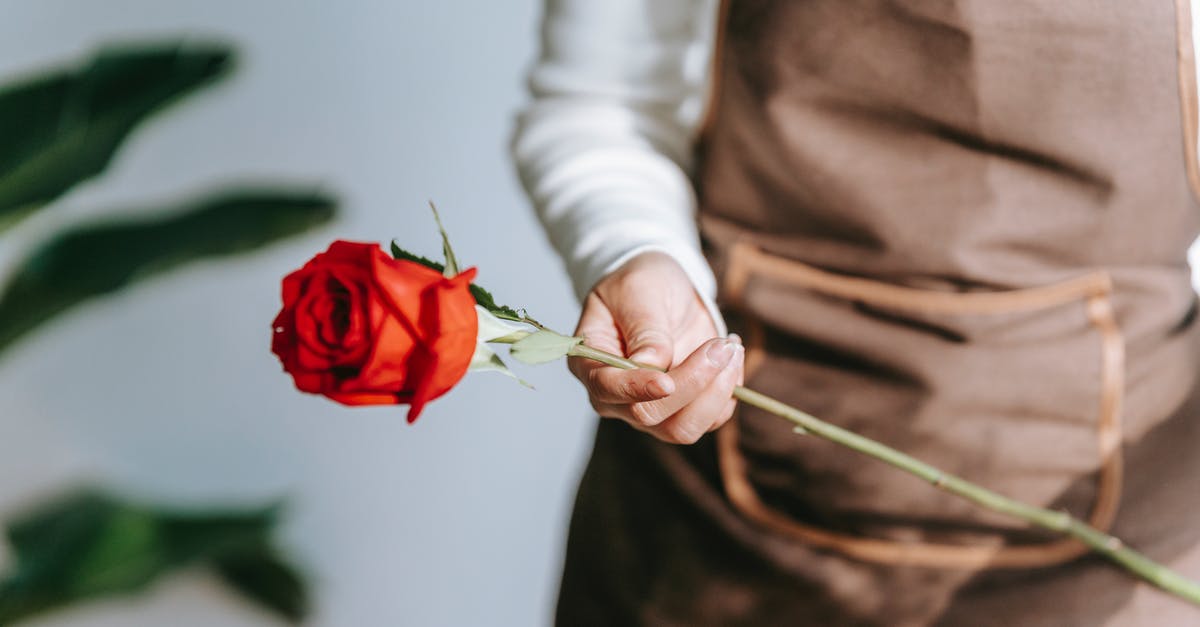 Why do my stored cashews smell like fish? - Crop anonymous female florist in apron standing in floral shop with blooming red rose