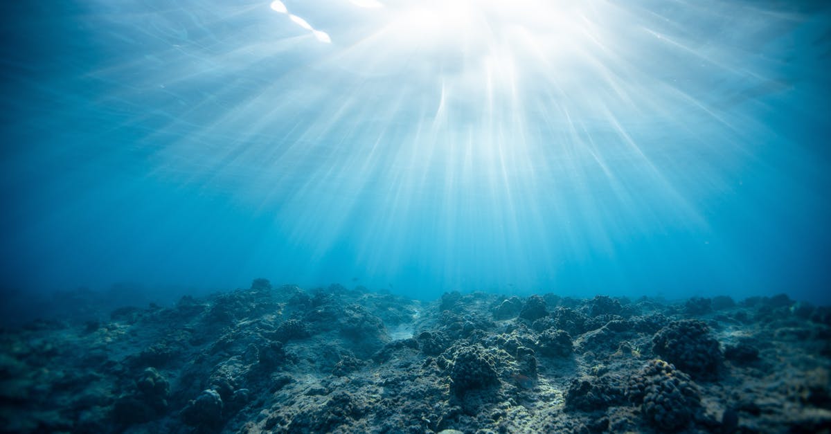 Why does adding sugar/salt causes water to release? - Underwater Photography of Ocean