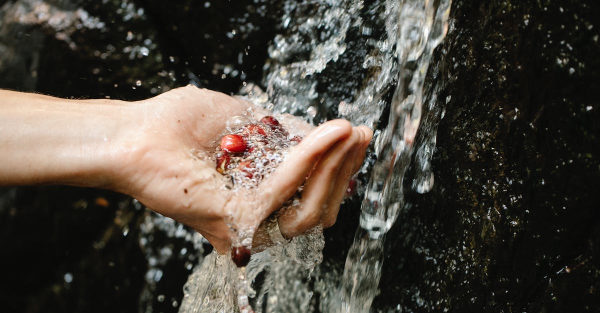 Why does Brining help food to retain water, but adding salt will draw the moisture out? - Person washing red berries in transparent water of brook