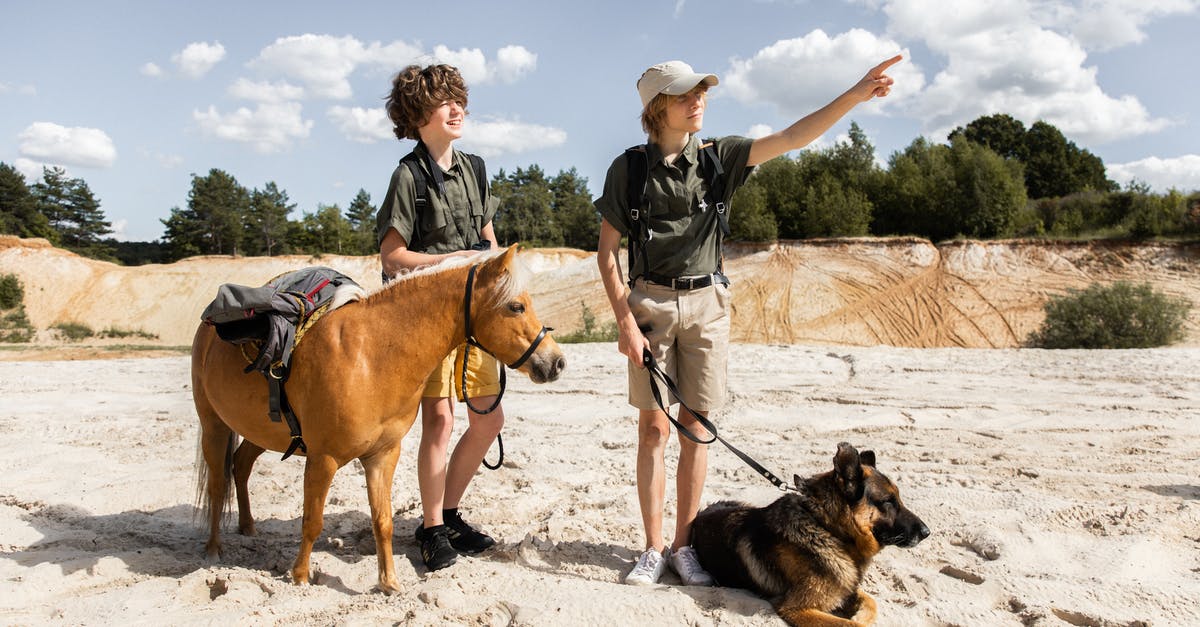 Why does brining lead to firmer salmon? - Scouts with a Mule and a Dog Pointing a Direction