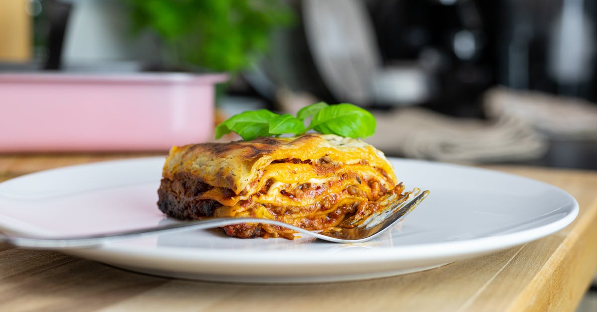 Why does Lasagna need to be baked? - Delicious Lasagna Slice on a Ceramic Plate