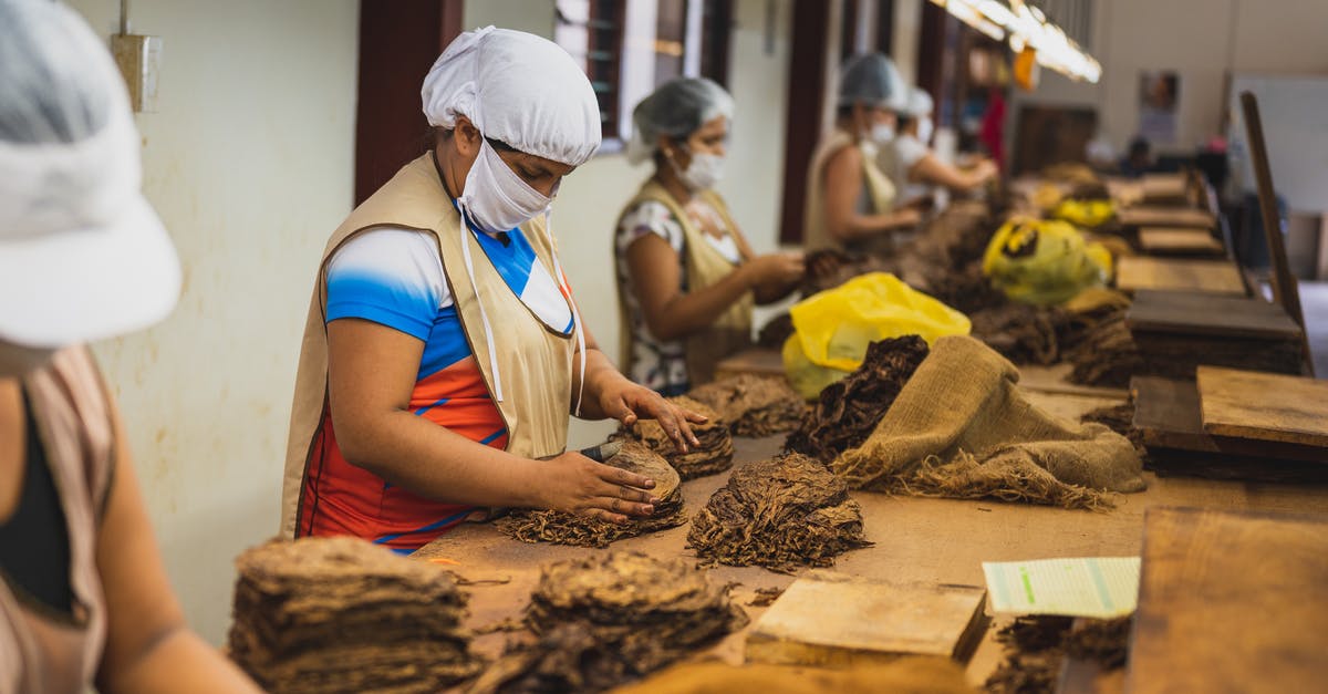 Why does my chicken get dry skin in the freezer? - Side view of anonymous women in sterile caps and masks sorting out tobacco while standing at wooden table in cigar factory during work