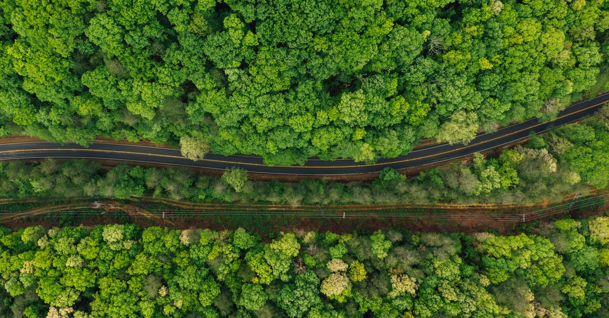 why does my microwave beep half way through a defrost? - Narrow asphalt roadway amidst lush forest