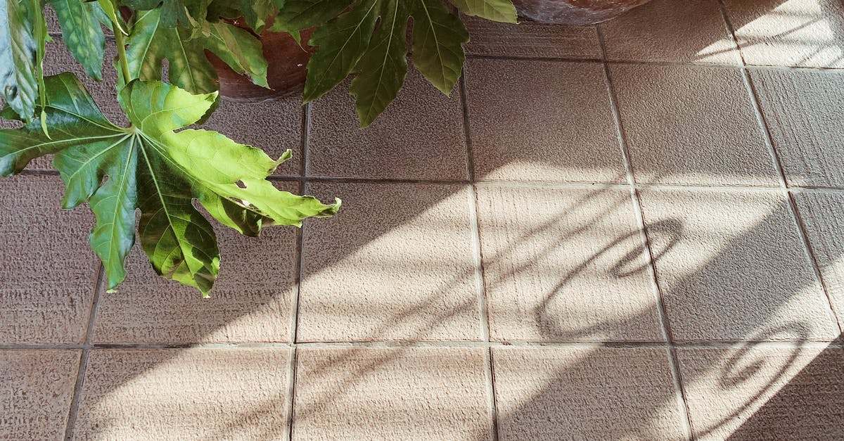 Why does my Wonder Pot now bake unevenly? - Tiled floor with potted plant and shadow