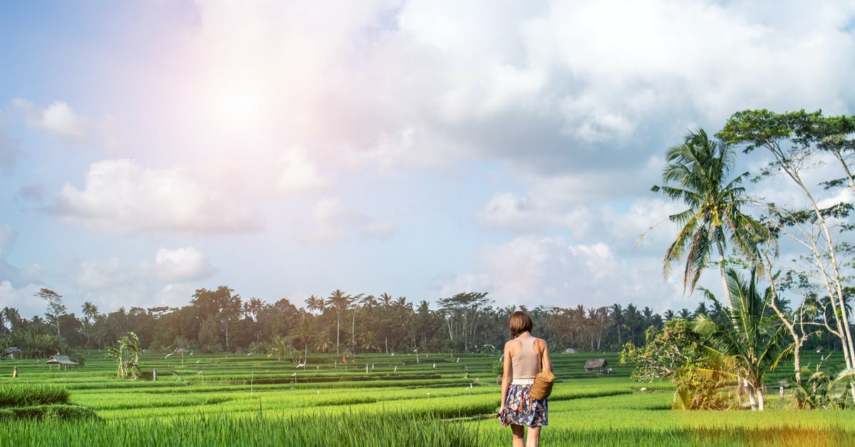 Why does rice go bad next day? - Woman Standing on Green Grass Field