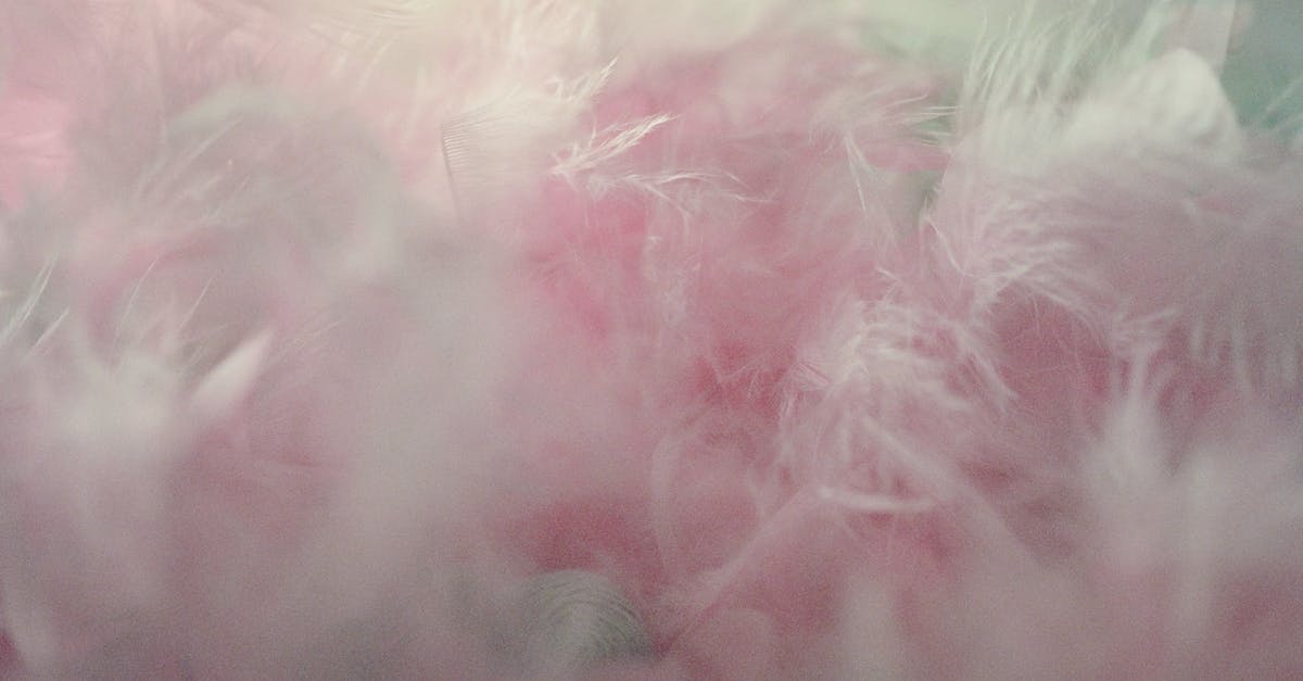 Why does steamed potatoes sometimes have a smooth, banana-like texture? - Pink Feathers in Close-up Photography