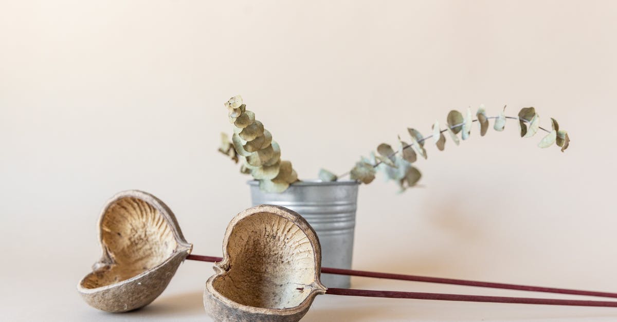 Why does the shrimp stick to the shells? - Eucalyptus Branch in a Bucket