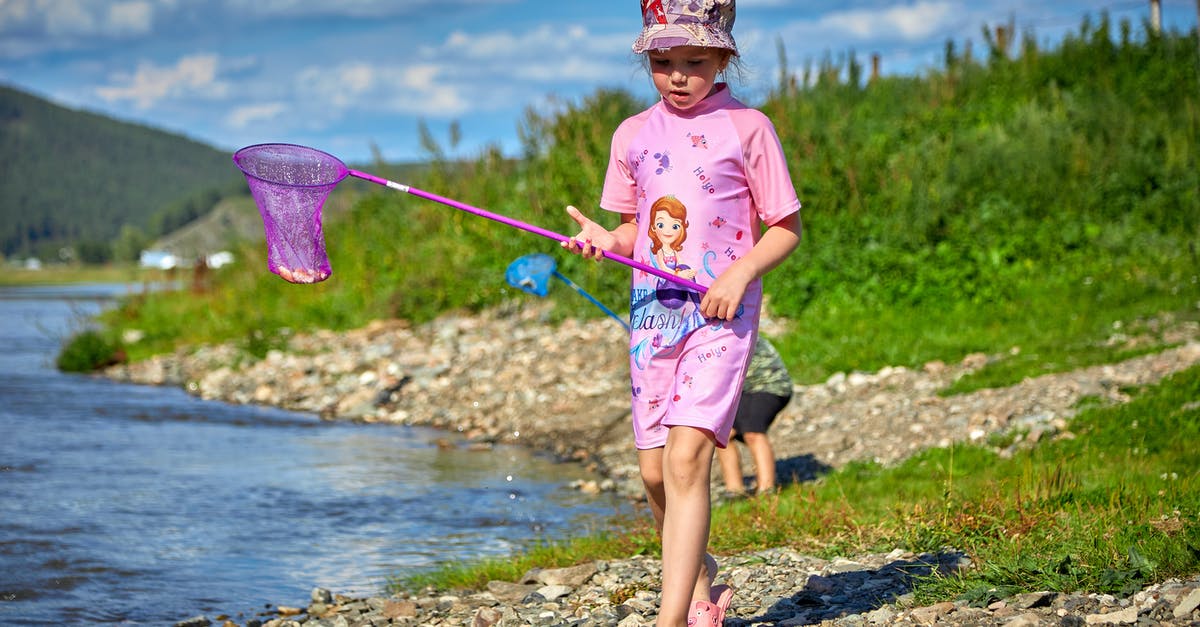 Why does the shrimp stick to the shells? - Girl Walking Along the Lakeshore with a Net on a Stick 