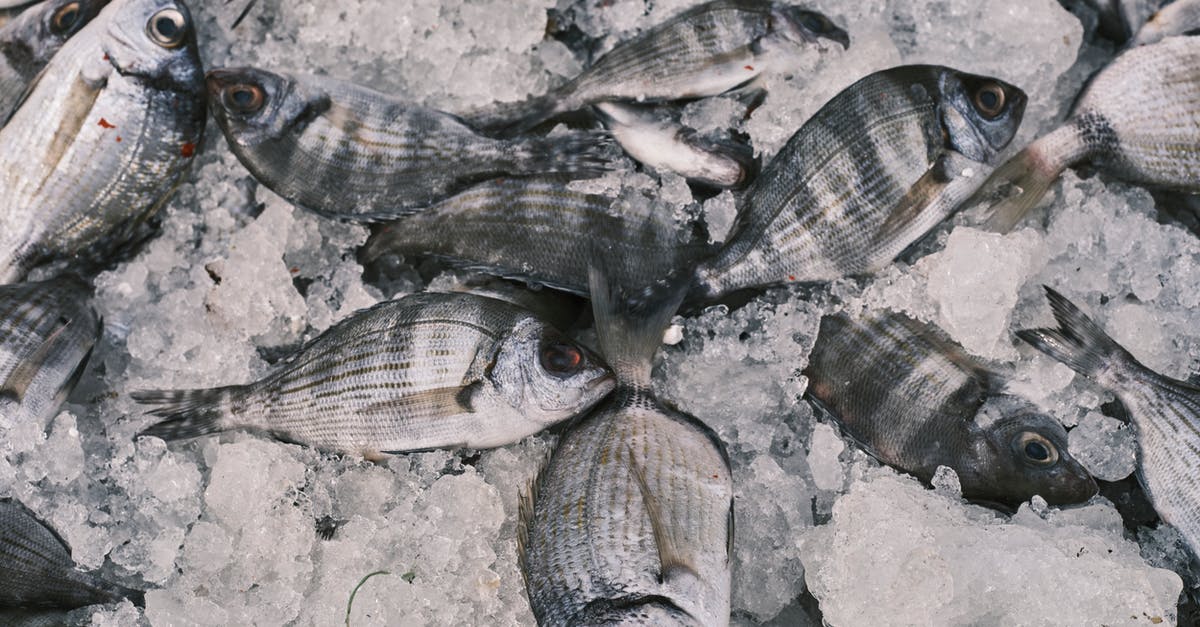 why is cooking in oil or fat considered dry heating? - Gray and Black Fish on Gray Sand