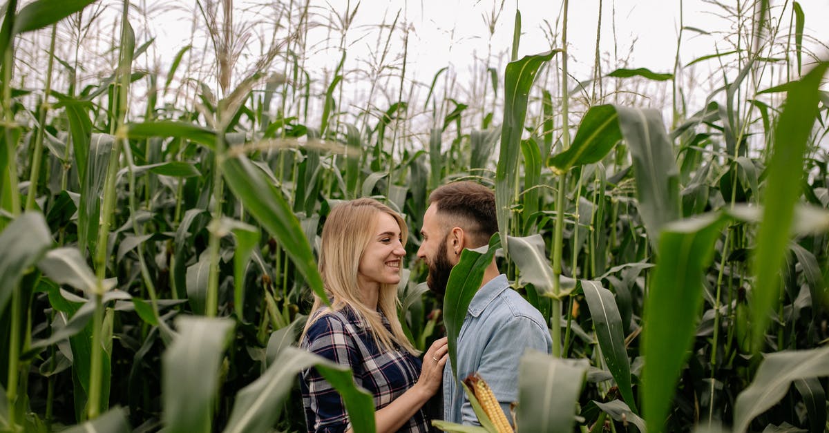 Why is corn nixtamalized? - 2 Women Sitting on Corn Field