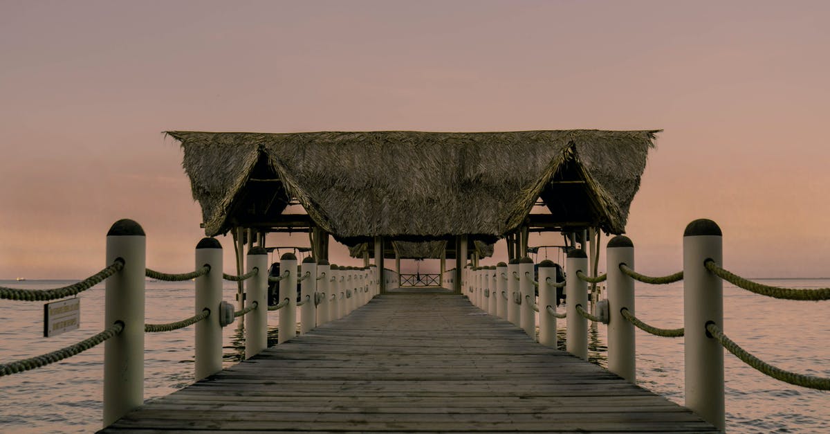 Why is honey heated and filtered for normal markets? - Symmetrical View of a Jetty with a Roof Why is honey heated and filtered for normal markets? - Symmetrical View of a Jetty with a Roof