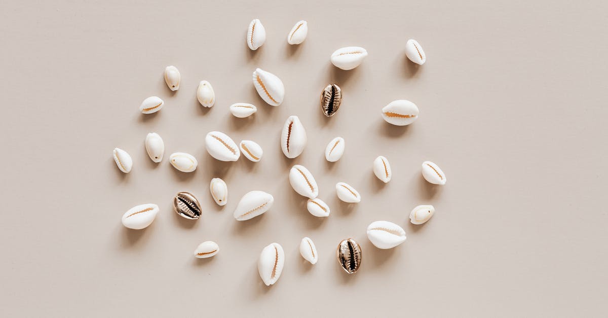 Why is it recommended to mix yogurt starter with a small amount of milk before adding to the entire batch? - Composition of different conchs on beige table Why is it recommended to mix yogurt starter with a small amount of milk before adding to the entire batch? - Composition of different conchs on beige table